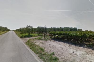 Agricoltore ucciso a Canosa
arrestato presunto assassino
