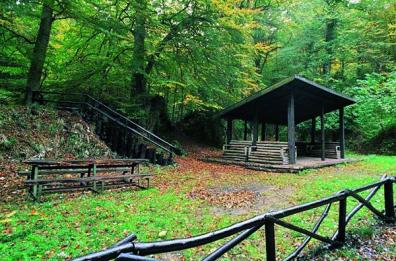 Il parco medicina naturale
in aiuto di malati e disagiati