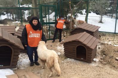 Cucce termiche
per canili di Bari e Taranto