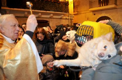 Bari, cani e gatti benedetti nel giorno di sant'Antonio abate