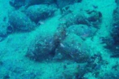 Taranto, sub dilettante recupera
statuetta IV secolo vicino S. Vito