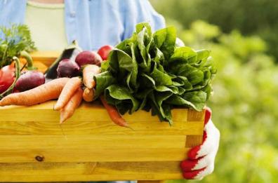 Esperti europei in Puglia
per sostenere imprese bio