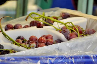 L'orto di Basilicata sulle tavole del mondo
Asso Fruit Italia supera i 60 mln di fatturato