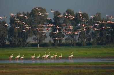 Visite all'oasi Salso
gran successo per il Parco