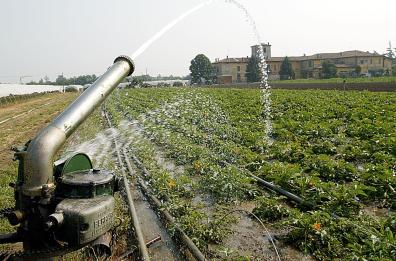 Mediterraneo, De Castro 
«Cooperazione e sviluppo»