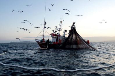 Coldiretti, torna il pesce fresco in Adriatico dopo il «fermo»