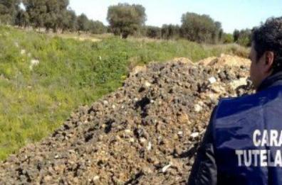 Fanghi del porto di Taranto
versati tra gli ulivi: 6 condanne