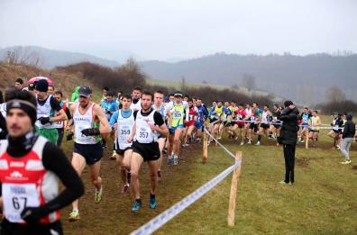 Medicina dello sport
il grande bluff delle visite