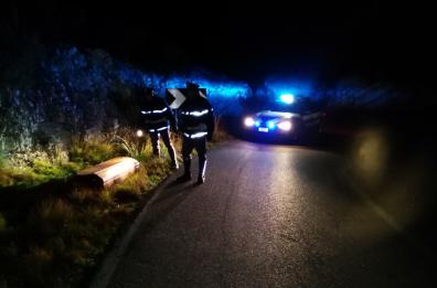 Trovata a Vieste la bara rubata
dell'ultimo Cantore di Carpino