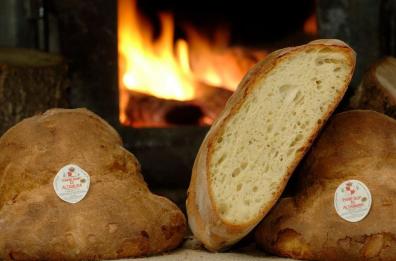 Pane di Altamura, al via l'iter per il riconoscimento nel patrimonio Unesco