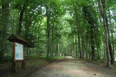 Il Parco del Gargano
punta a «carta del turismo»
e riconoscimento Unesco