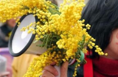 Donne in politica, in Basilicata
solo 11 sindaci donne (8,5%)