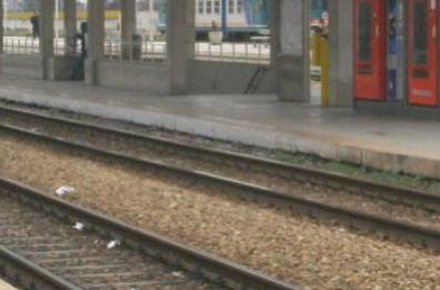 Persona investita da treno, circolazione ferroviaria interrotta