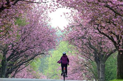 Equinozio di primavera
con un fine settimana di sole