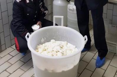 Mozzarelle e formaggi
con finto latte italiano
Effettuate multe e sequestri
