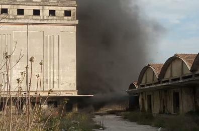 Foggia, a fuoco antico mulino
del Consorzio agrario