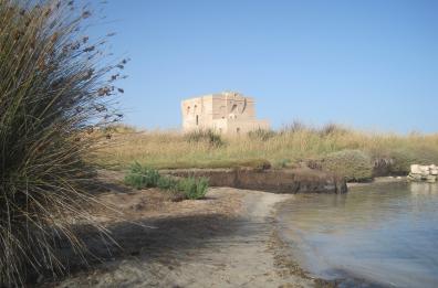 Torre Guaceto: trovato teschio umano nascosto in un canneto