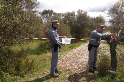 Parco Murgia, sequestrata
area di oltre 9 ettari 
«Abbattute 600 querce»