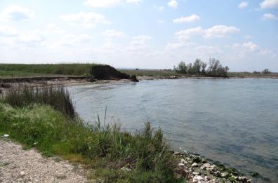 La foce dell'Ofanto
arretra sempre più