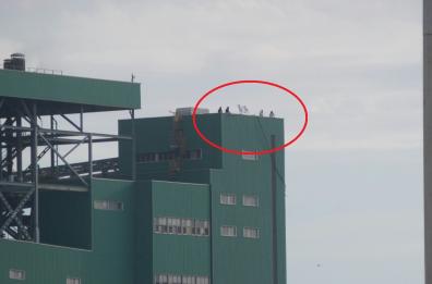 Lavoratori protestano
su balcone 
centrale Enel a Brindisi