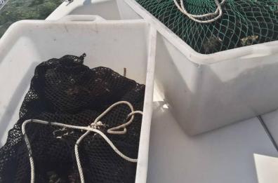 Pescatori di frodo pugliesi bloccati a Benevento: avevano tremila ricci