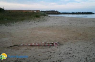 Torre Guaceto, strappati 
cavi elettrici del bar mobile