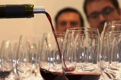 Venti milioni di litri
di vino Primitivo doc