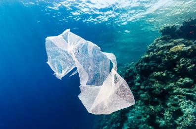 Luigi e la missione  «Plastic free»