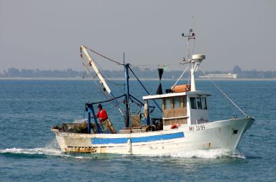 Caro gasolio: la Regione Puglia stanzia 3 milioni per le marinerie