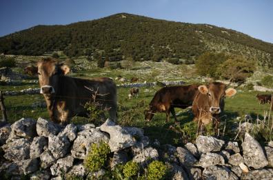 Libero accesso ai sentieri
per podoliche e camminatori