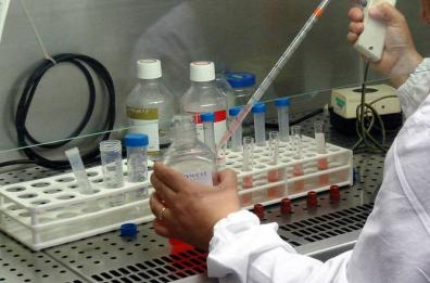 Tumori, a S. Giovanni Rotondo isolate le «cellule camaleonte» nel sangue: base per diagnosi e cura