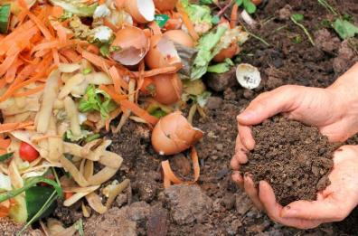 Emergenza organico
Gli esperti: nel Salento
meglio i piccoli impianti