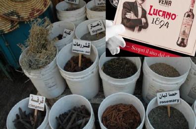Una filiera di
erbe officinali
per amaro lucano