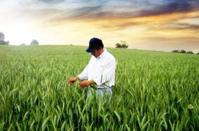 Sistema informatico
va in tilt, agronomi
minacciano sciopero