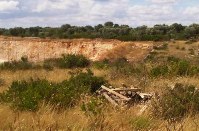 Vescovo di Taranto: «No 
a discarica vicino al santuario»