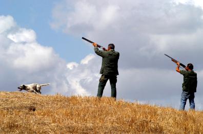 Tragica battuta di caccia nel Foggiano: allevatore ferito da una fucilata 