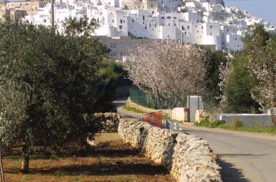 Ostuni, furti nelle campagne
un vero allarme sociale