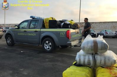 Bloccati nel Salento
trafficanti di droga
Gdf sequestra 600kg di marijuana