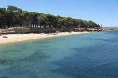 Ripresi i collegamenti
con l'isola di San Pietro
Motonave in panne per 11 giorni