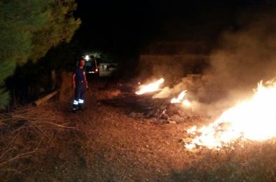 Incendio in un boschetto
tra Andria e Castel del Monte