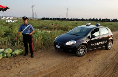 Ginosa, ruba angurie
arrestato un sorvegliato
