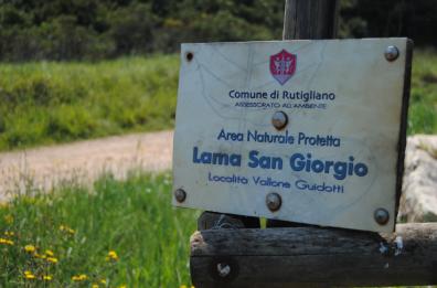 Un disegno di legge
per il Parco regionale
Lama San Giorgio-Giotta