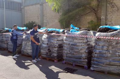 Bari, sequestrate al Porto
20 tonnellate di cozze