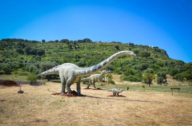 C'erano una volta
... i dinosauri
a Ostuni ci sono ancora