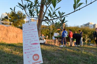 A Matera fiorisce
il parco urbano