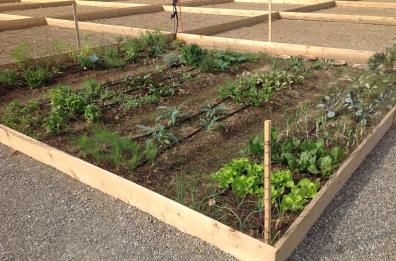 «Orti urbani», al via il progetto
per il rilancio del verde cittadino