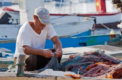 «Dalla Rete allo Chef»
filiera cortissima
per il pesce del Salento