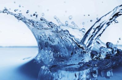 L'acqua in mostra
nel palazzo Aqp