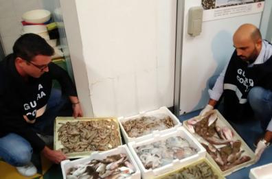 Blitz a Taranto e Monopoli: sequestrati 600 kg di pesce avariato e irregolare