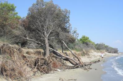 L'erosione delle spiagge finisce sotto la lente dell'Università di Bari